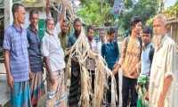 ছবি