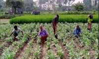 ছবি