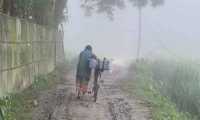 ছবি