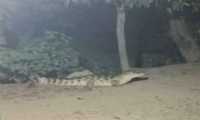 ছবি