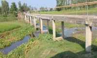 ছবি