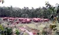 ছবি