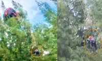 ছবি