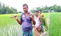 ছবি