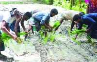 ছবি