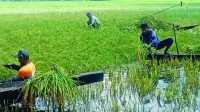 ছবি