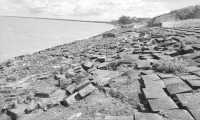ছবি