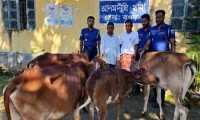 ছবি
