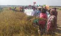 ছবি