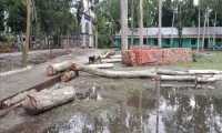 ছবি
