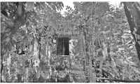 ছবি