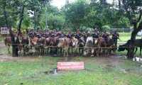 ছবি