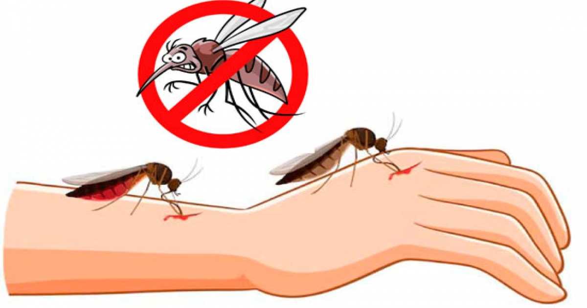 ডেঙ্গু: ২৪ ঘণ্টায় আক্রান্ত ৫৮০,  ৩ জনের মৃত্যু