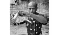 ছবি