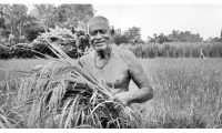 ছবি