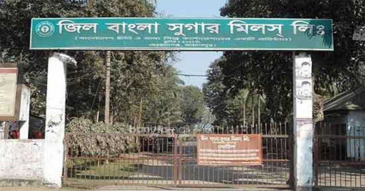 জিবাসুমি কৃষকদের আখ চাষ বন্ধের হুঁশিয়ারি