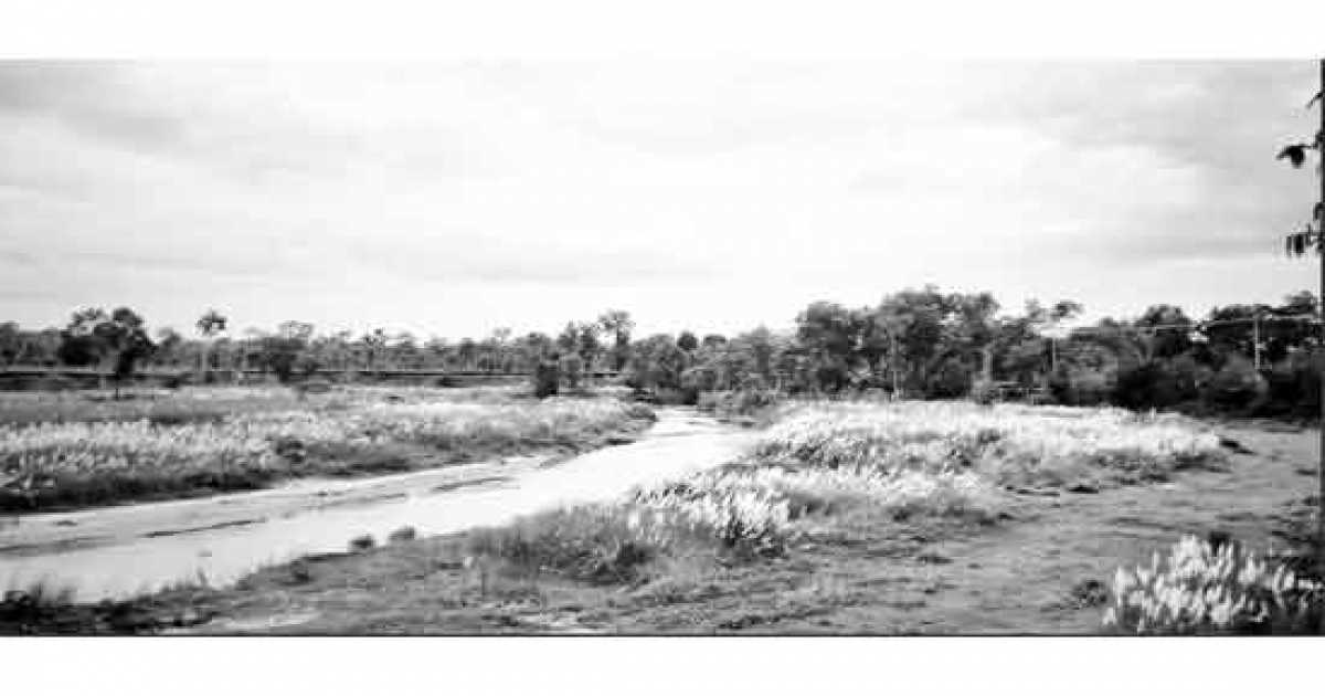 বাতাসে দোল খাচ্ছে কাশফুল, শরতের আগমনী বার্তা