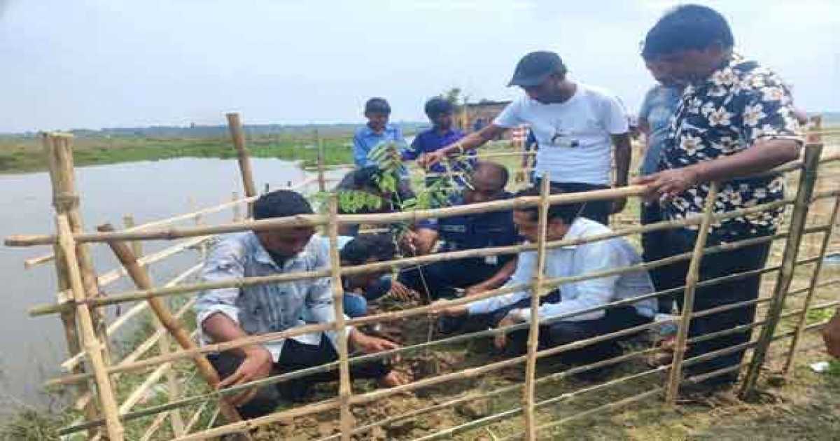 সাপাহার জবই বিলে পরিবেশ সংরক্ষণ ও জীববৈচিত্র্য রক্ষার লক্ষ্যে বৃক্ষরোপণ কর্মসূচি