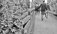 ছবি