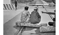 ছবি