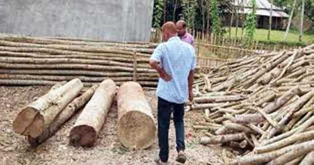 গাছচুরির অভিযোগে বনবিভাগের চারজনের বিরুদ্ধে মামলা