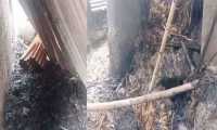 ছবি
