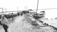 ছবি