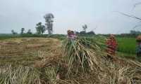 ছবি