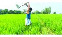 ছবি