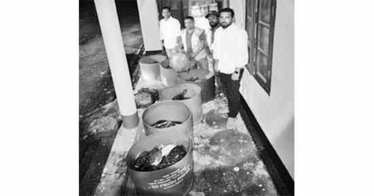 বেগমগঞ্জে বিলুপ্ত প্রায় ৪২৫ কচ্ছপ উদ্ধার