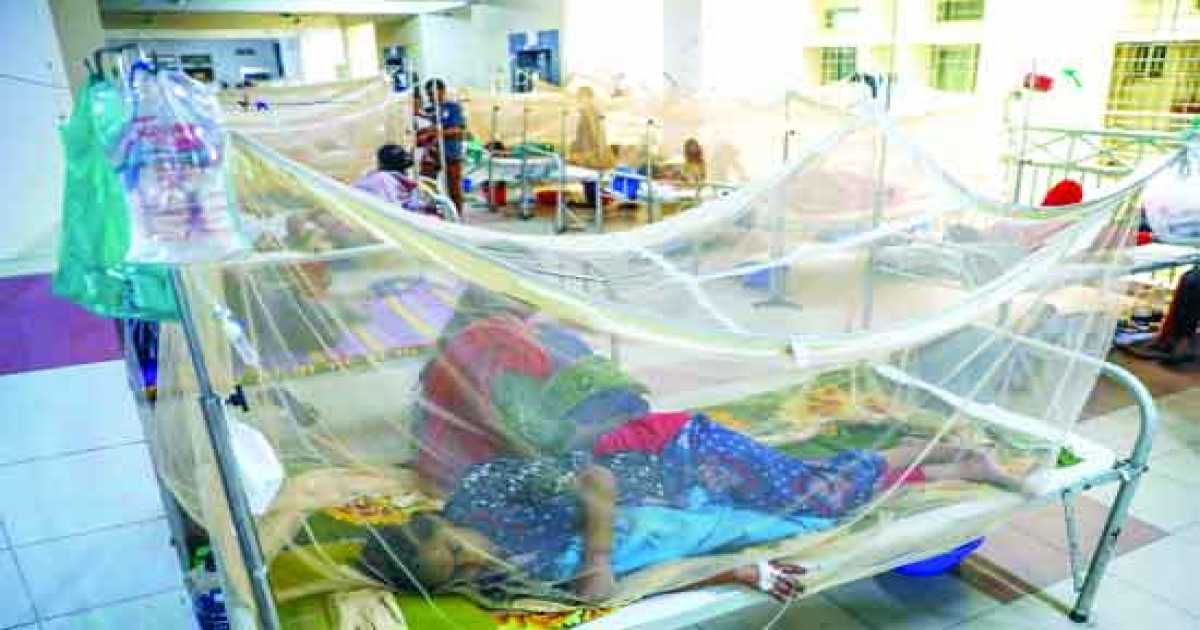 ডেঙ্গু: একদিনে সর্বোচ্চ ৬৮৫ জন হাসপাতালে ভর্তি, মৃত্যু ৩