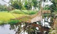 ছবি