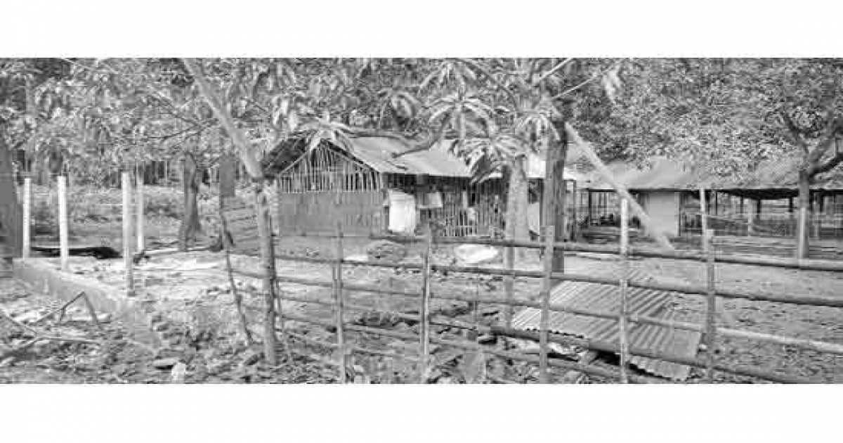 কেশবপুরে আদালতে বিপক্ষে সাক্ষী  দেয়ায় পোল্ট্রি খামার ভাঙচুর