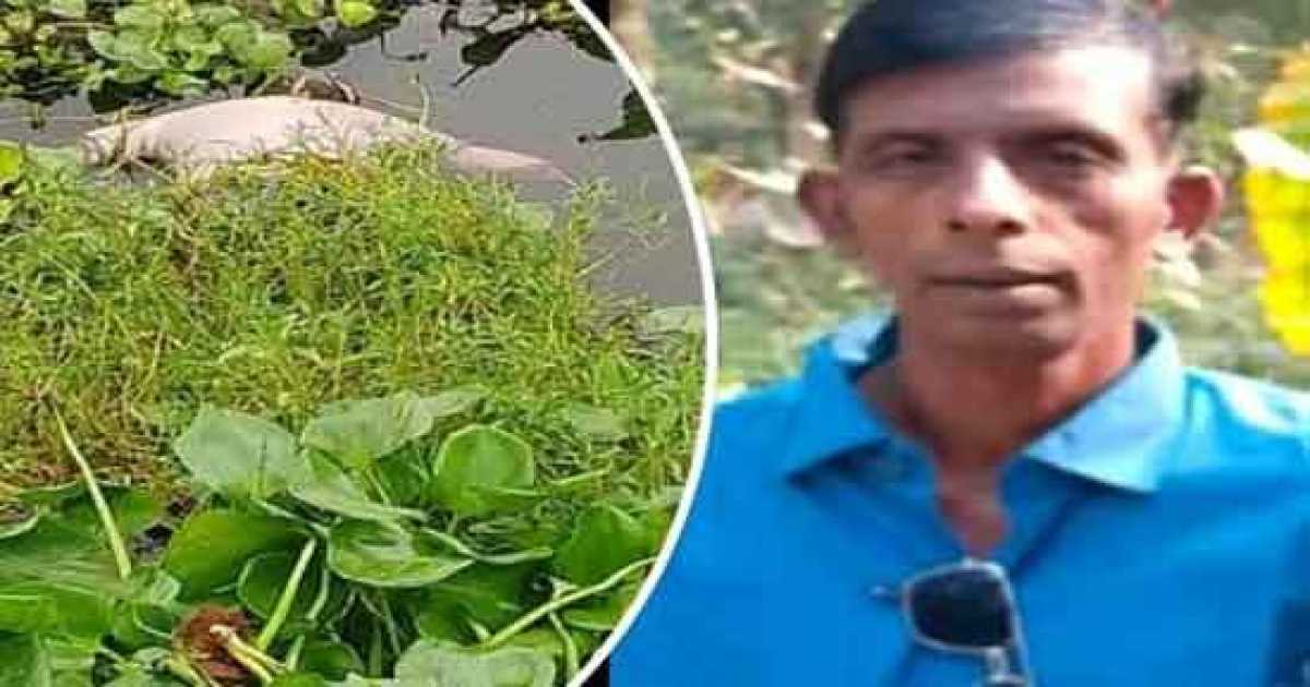 কালীগঞ্জে নিখোঁজ যুবকের মরদেহ উদ্ধার