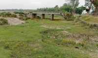 ছবি