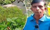 ছবি