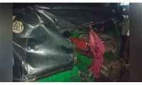 ছবি
