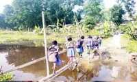 ছবি