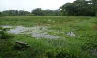 ছবি