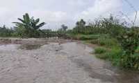 ছবি