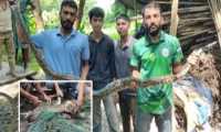 ছবি