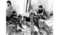 ছবি