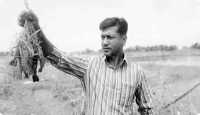 ছবি