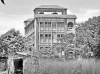 ছবি
