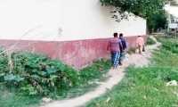 ছবি