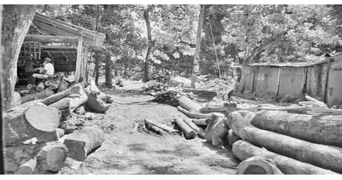 চান্দিনায় খাল ভরাট করে স’মিল  ব্যবসা সাবেক যুবদল নেতার