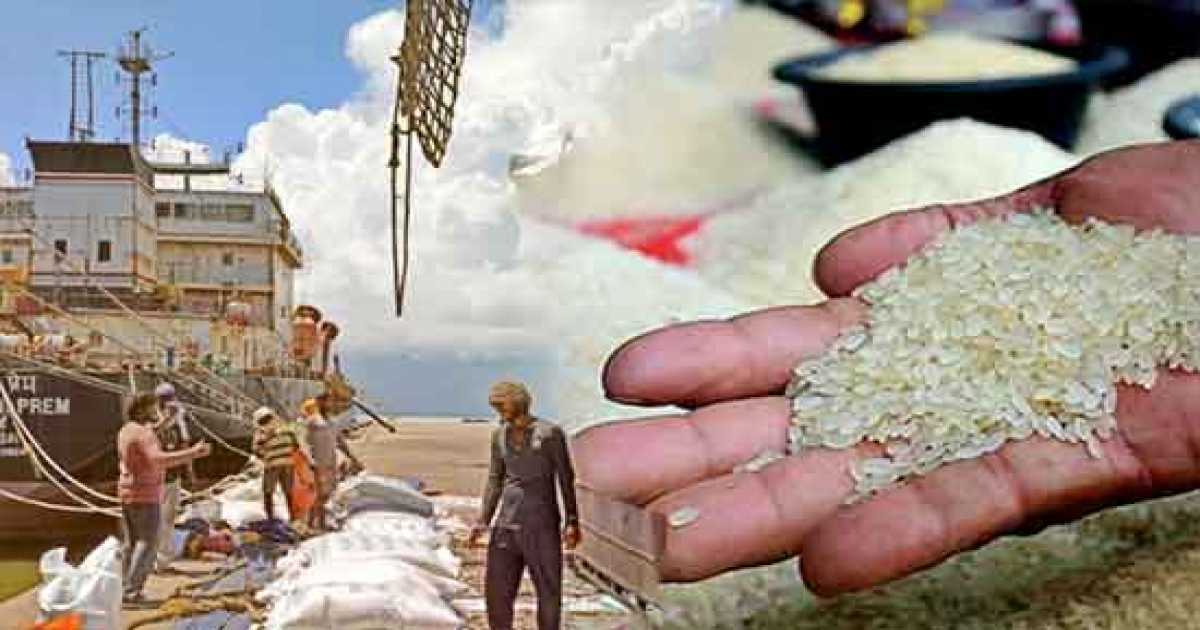 চাল রপ্তানিতে নতুন শর্ত আরোপ ভারতের
