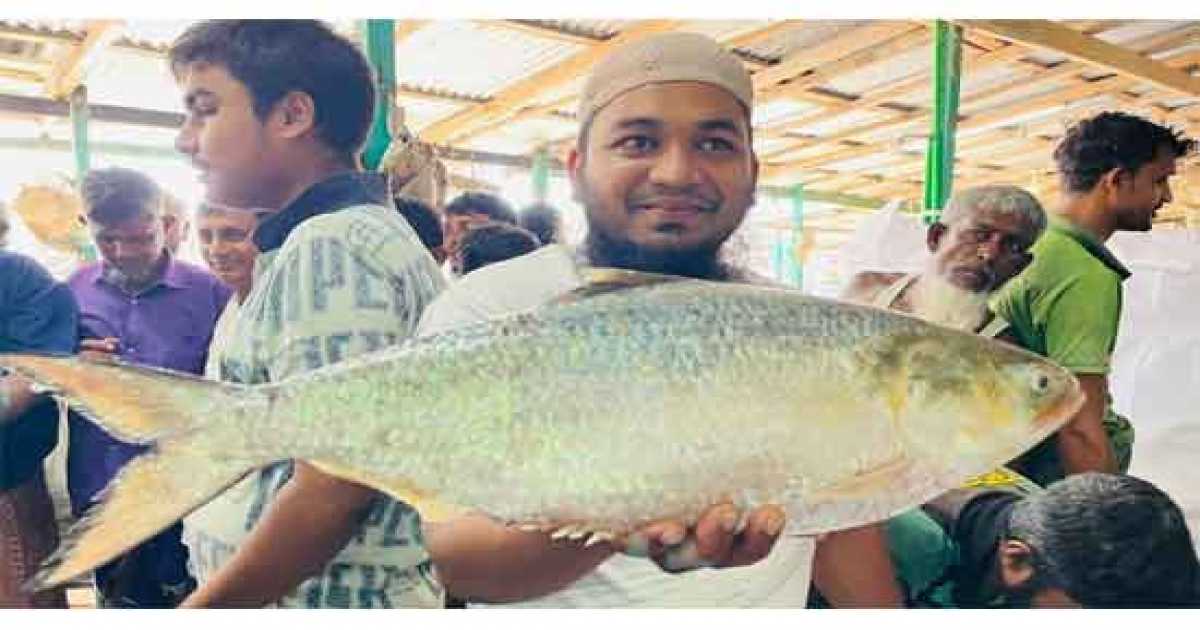 এক ইলিশ বিক্রি হল ১৪ হাজার টাকায়