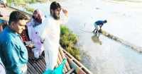 ছবি