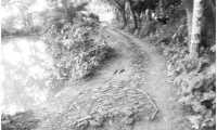 ছবি